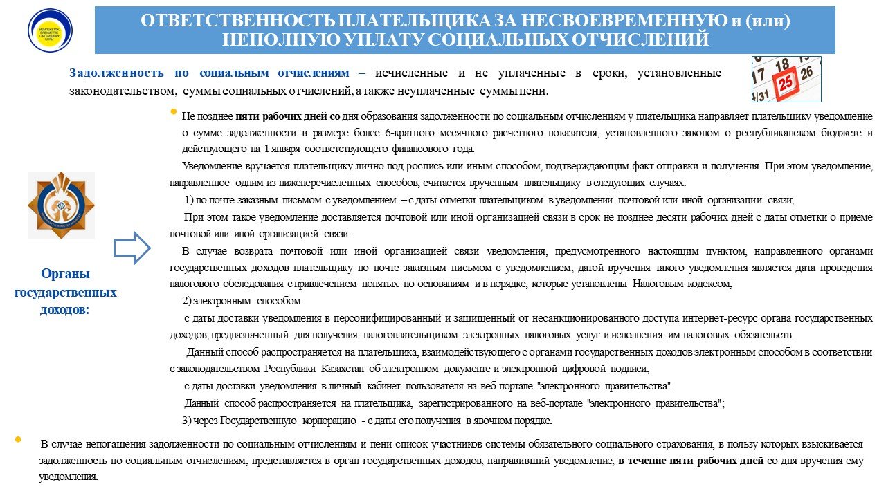 Ответственность плательщика рус